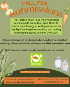 Call for submissions for the Anthology project. TYFPC is seeking youth on welfare to submite writing or art submissions. honorarium of 300 per person selected (up to ten selected)